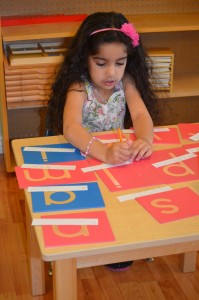 Second Year of Montessori Education